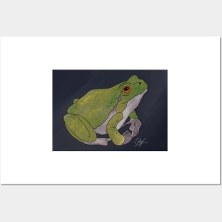 Cute plump frog Posters and Art